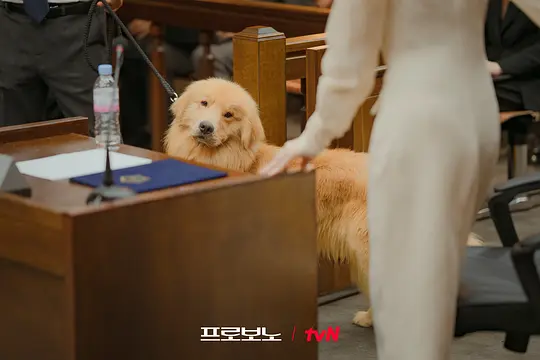 电影剧照